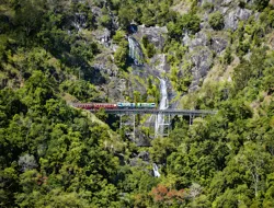 Kuranda Full-Day Tour with Skyrail & Scenic Rail